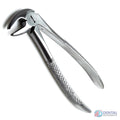 Extracting Forceps "For Children" Klein Upper Molars
